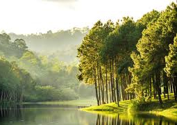 Attacchi di panico Grosseto